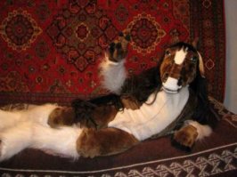 Я не понял, это чо? Собчак у себя дома?