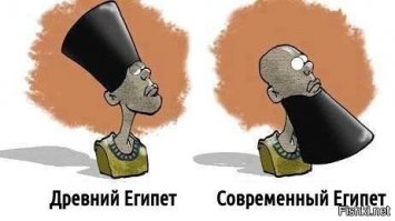 Анализ ДНК почти сотни египетских мумий шокировал ученых