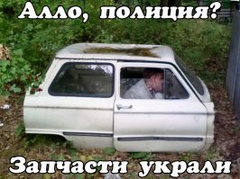 Автовсячина