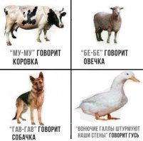 гусь ещё и не такое скажет, особенно когда он утка