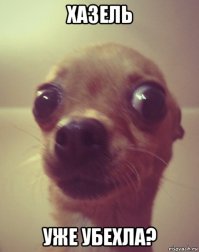 Авария дня. Серьезное столкновение на КАД