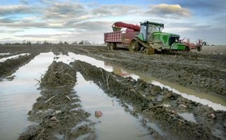 Вот знаешь, сидя у компа конечно легко и просто рассуждать что в офисе капец как тяжко вам, интеллектуалам. Только в следующий раз, когда соберешься кичиться своим тяжелейшим трудом, вспомни про этих людей. Благодаря им ты сидишь в теплом офисе перед компом с электричеством и теплом на мягком стуле с едой в холодильнике. А ведь по сути большая часть офисных работников во многих фирмах это бесполезный балласт, а те, кто действительно занимается интеллектуальным трудом, не так уж и много.