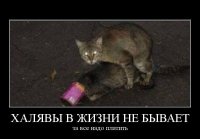 Жадность