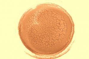 Мое старое фото из этой оперы