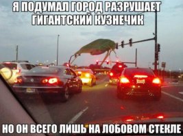 Эти картины - совсем не то, чем кажутся!