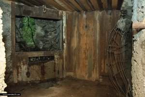 Ошибся, это линия Карбышева или Молотова. У нас бетонные доты на каждом холме стоят. Многие взорваны.