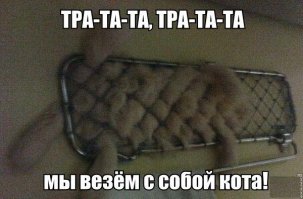 некоторые очень сильно растаяли: