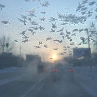 Эти картины - совсем не то, чем кажутся!