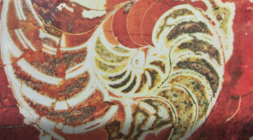 А я то всегда думал это нарезка мясная, и бежал быстрее домой утолять голод! И зачем я только зашел сюда.