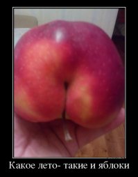 Свежая подборка демотиваторов, которые поднимут вам настроение