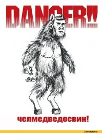 15 пугающих снимков неизвестных существ