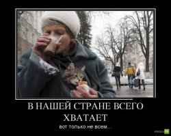 Очередная порция картинок с подписями и без