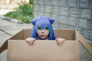 Все кошки своенравны, игривы и обожают коробки! размер тут не имеет значения!