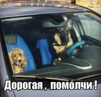Пара картинок меня задумали.