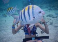Оставайся мальчик с нами