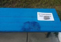 Маразмы месяца