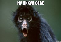 Очередная порция картинок с подписями и без