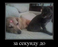 Свежая подборка демотиваторов, которые поднимут вам настроение