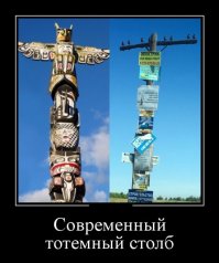 Маразмы месяца