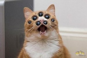 Подборка автомобильных приколов