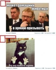 Милонов! У кота же плоскостопие...