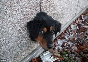 Ну это норм,любопытство у всех в крови