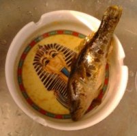 “Бычки”