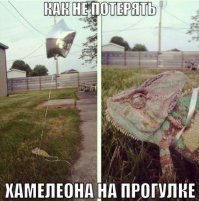 Смешные комменты из соцсетей