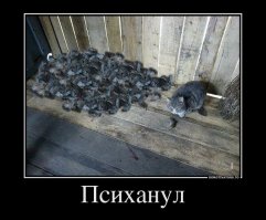 Ну психанули, ну бывает