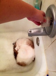 25 фотографий, сделанных за секунду до неизбежного