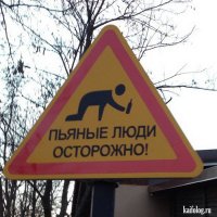 Авария дня. Машина сбила пешехода, вышедшего из кустов после пикника