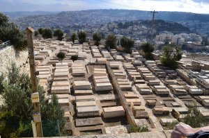 Часть еврейского кладбища.