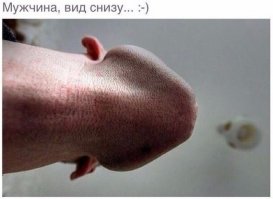 теперь ясно откуда пошло "х/й с ушами"-это, оказывается, взгляд снизу...