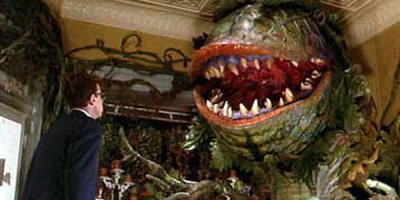 В деревне бы завести пару малюток таких , пусть комариков да ос жуют =)), главное чтобы в это не переросли =).