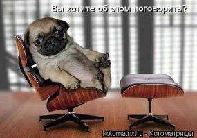 Подборка высказываний и цитат из соцсетей