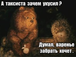Бешеный ежик! 