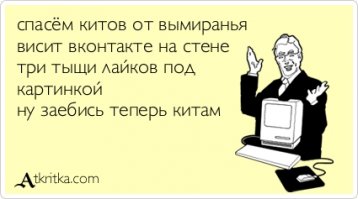 Спасение пчел посредством стрит-арта