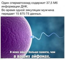 Фотоподборка за 06.07.2017