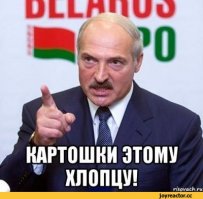 10 лучших блюд из картохи