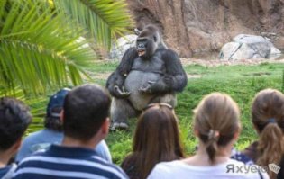 Городские легенды, которым мы все еще верим