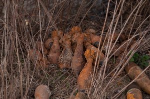 ВОПов до сих пор очень много. убираем и их.