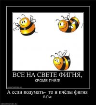 Спасение пчел посредством стрит-арта
