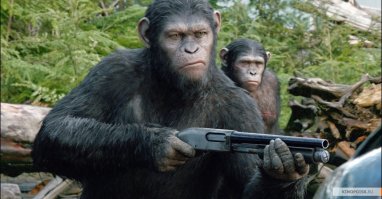 Крайне сообразительный шимпанзе жестами показал посетителям зоопарка, что хочет сладкой водички