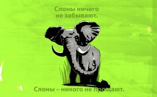 Осиротевшая слониха целует мужчину, спасшего ее от смерти