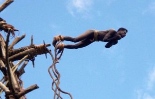 Премию Дарвина ему!!!