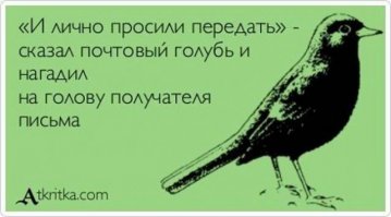 Загадка века - как почтовые голуби находят дорогу?