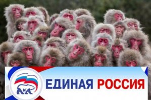 Фотоподборка за 06.07.2017