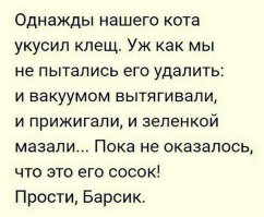 Кот жив остался или это надпись на надгробии?)