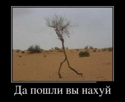 Плотник на пенсии строит потрясающие виллы для птиц