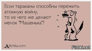 Куда делись тараканы из российских квартир